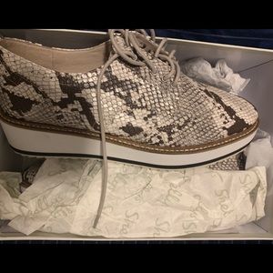 Shellys London Oxford Shoes